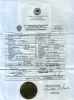 Mark Kosinski and Amy Loehn Marriage Certificate